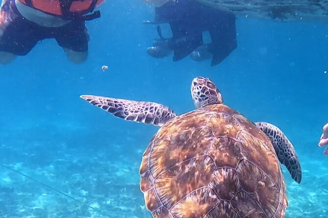 1.5 hours Snorkeling at Tulum's paradise reef - The Mayan Ruins Stop From the Water: Photos and Real Context