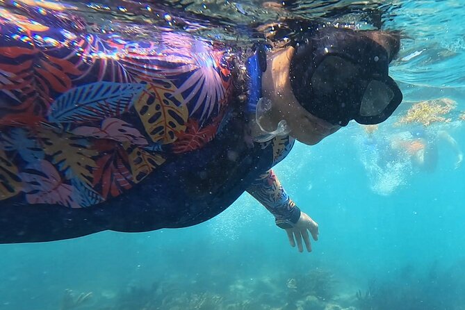 1.5 hours Snorkeling at Tulum's paradise reef - Snorkel Time at Tulum’s Paradise Reef: Turtles, Rays, and the Real Underwater View