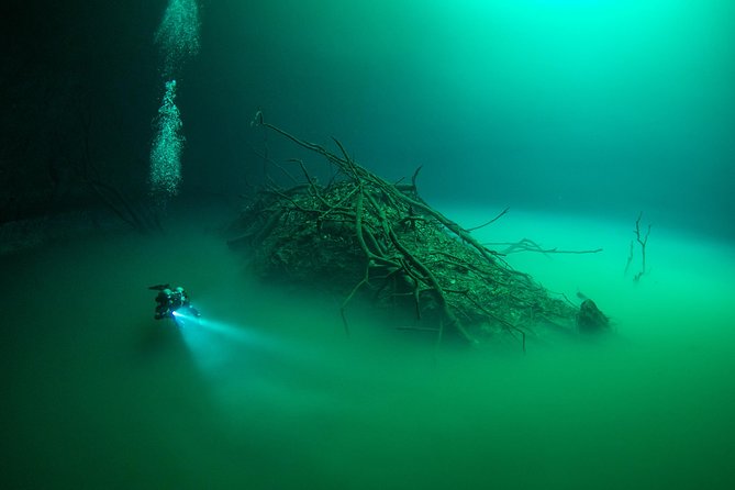 2 cenote divings (including one deep diving) for advanced divers in Tulum - Cenote Dos Ojos: limestone formations, bat cave moments, and exploration