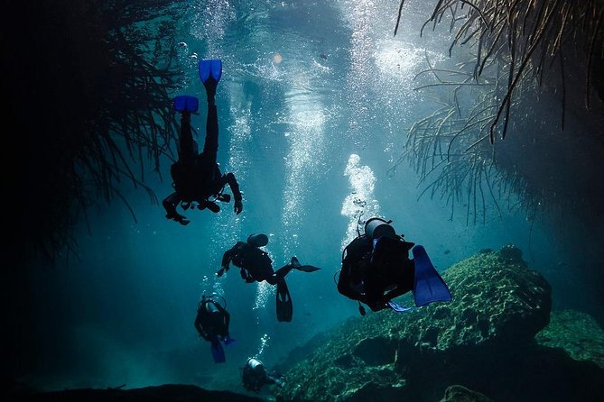 2 cenote divings (including one deep diving) for advanced divers in Tulum - Parque Dos Ojos stop: what it means for your day