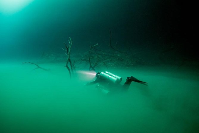 2 cenote divings (including one deep diving) for advanced divers in Tulum - Price and value: what $215 buys you here