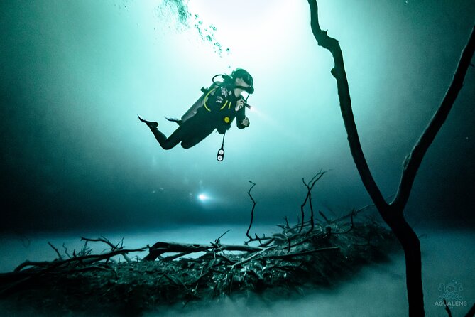 2 cenote divings (including one deep diving) for advanced divers in Tulum - Pit Cenote: an advanced, light-and-layer experience