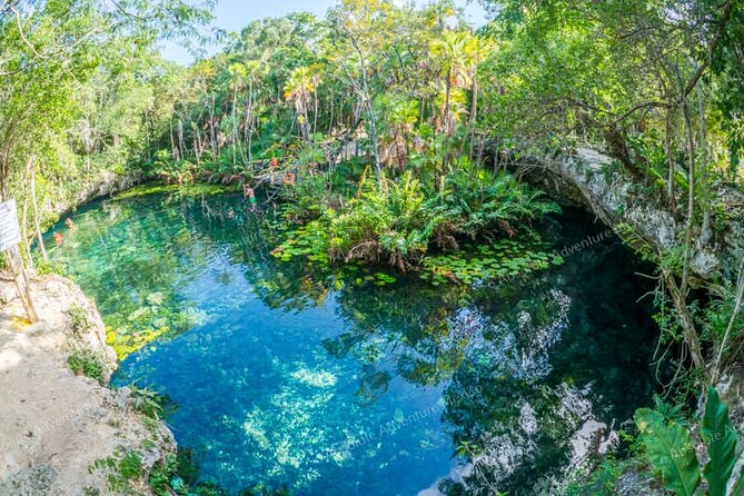 2 Cenotes Private Tour – VIP Adventure with Expert Guide - Cenote Nicte-ha: snorkel first, when it’s still cool