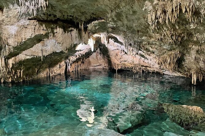2 Cenotes Private Tour – VIP Adventure with Expert Guide - Best for: families, first-timers, and anyone who hates crowds