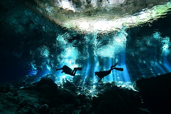 2 dives in Cenote Dos ojos Certified Divers - Quick hits before you go