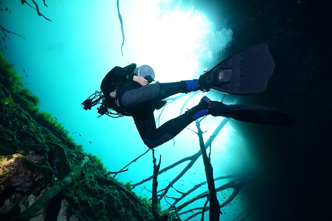 2 dives in Cenote Dos ojos Certified Divers - Cenote Dos Ojos first: formations, briefing style, and pacing