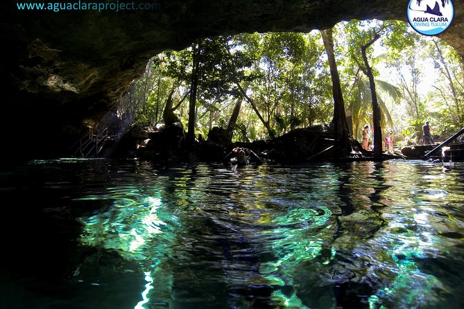 2 dives in Cenote Dos ojos Certified Divers - Choosing the second cenote: Casa Cenote or Gran Cenote (and why skill level matters)
