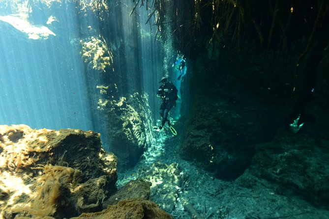2 dives in Cenote Dos ojos Certified Divers - Meeting point at 8:30am: transport and how the day flows