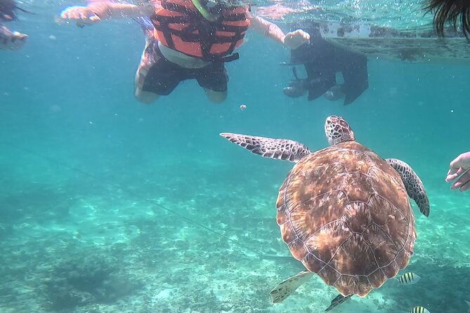 2-Hour Snorkeling in Two Spots of Tulum's Reef - Boat views before the snorkel: Tulum ruins photos without the crowds