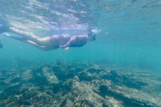 2-Hour Snorkeling in Two Spots of Tulum's Reef - Stop two on the reef: colorful fish, bigger schooling energy, and occasional coral disappointments