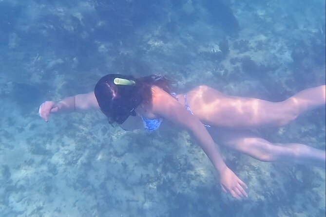 2-Hour Snorkeling in Two Spots of Tulum's Reef - Who this tour suits best (and who should consider a different day plan)
