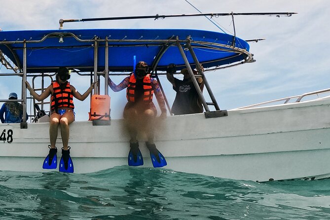 2-Hour Snorkeling in Two Spots of Tulum's Reef - Value check: the real cost after Jaguar Park and taxes