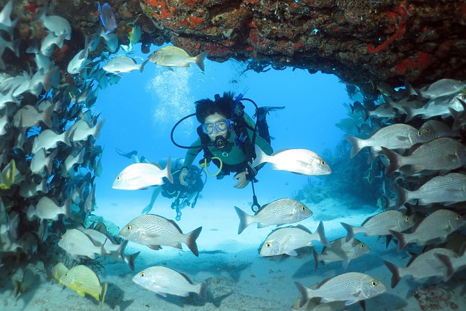 2-Tank Morning or Afternoon Dives in Playa del Carmen certified Divers Only - Stop 1: Your First Reef Site and Why the Deeper External Location Is Special