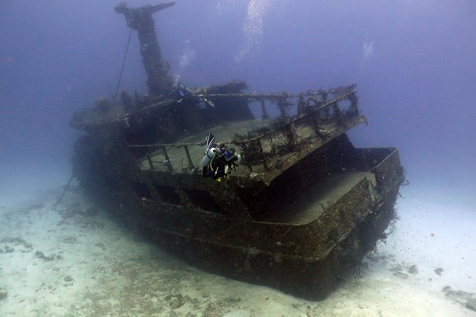 2-Tank Morning or Afternoon Dives in Playa del Carmen certified Divers Only - Cost and Value: Is $89 a Good Deal Here?