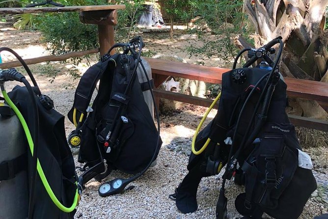 2 tanks Cenote Diving Adventure in Tulum for Certified Divers - Price and value: what you really get for about $200 per person