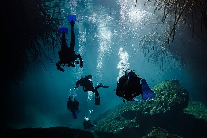 2 tanks Cenote Diving Adventure in Tulum for Certified Divers - Certification, health rules, and the one reason you might be turned away