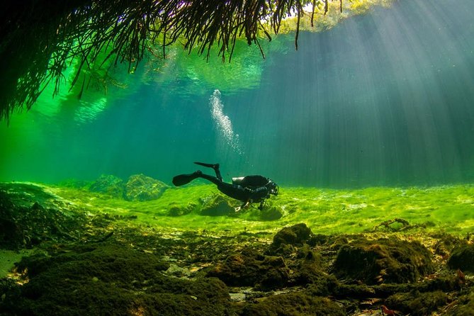 2 tanks Cenote Diving Adventure in Tulum for Certified Divers - Getting the most out of Casa and Dos Ojos: comfort, safety, and clean gear