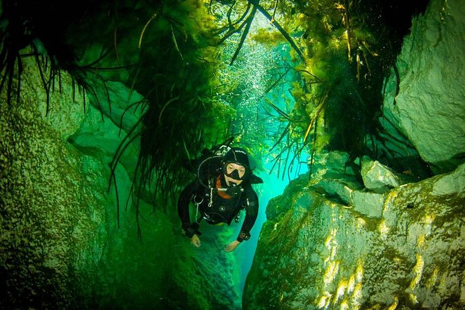 2 tanks Cenote Diving Adventure in Tulum for Certified Divers - Who should book this Tulum cenote scuba experience (and who should skip it)