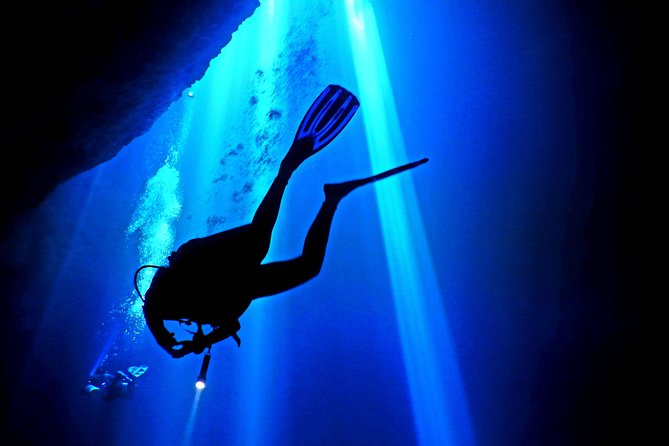 2 tanks Cenote Diving Adventure in Tulum for Certified Divers - Book it or pass: my honest take
