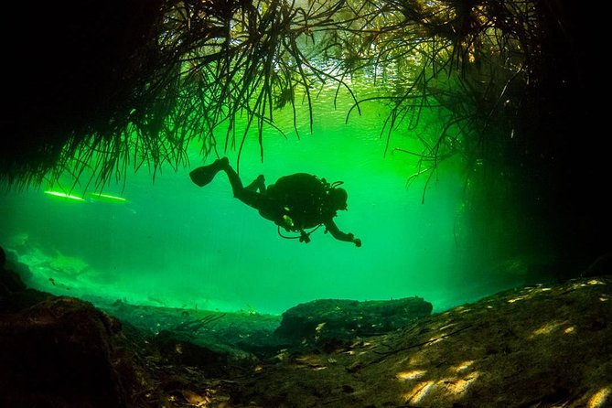 2 tanks Cenote Diving Adventure in Tulum for Certified Divers - Casa Cenote: the easier first underwater session (about 40 minutes)