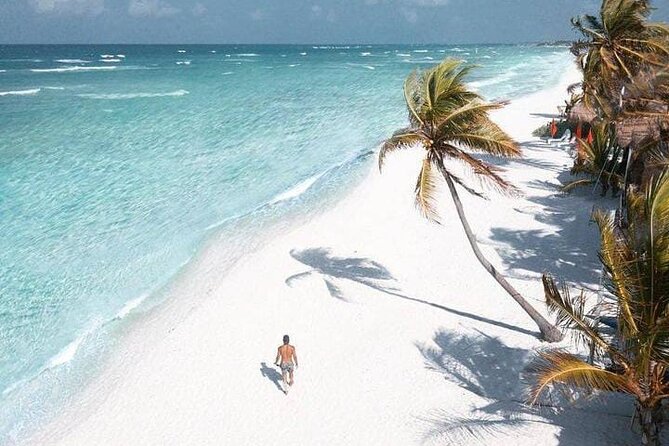 2x1 Tour: Isla Contoy, Isla Mujeres, Open Bar, Lunch and Transfers - Isla Mujeres free time: your island pacing, not a guided script