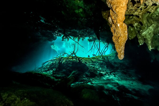3 Cenote Dives - Casa & Dos Ojos - Casa Cenote: your first underwater stop