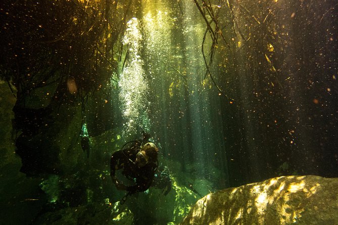 3 Cenote Dives - Casa & Dos Ojos - The meal plan: lunch during the day, plus snacks and water