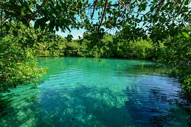 3 Cenote Dives - Casa & Dos Ojos - What if you’re not the strongest swimmer?