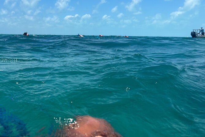 3 in 1 Experience in Tulum - Your morning starts at 8:00 am with pickup in Tulum
