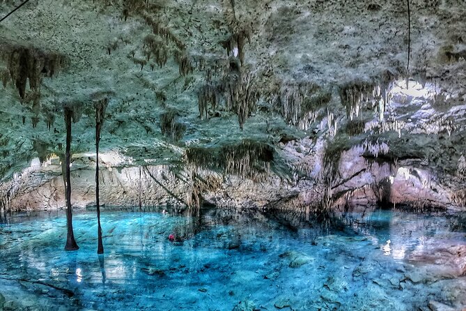 3 in 1 Private Tour Tulum Cenote and Snorkeling in the reef - Private Transportation and the Rhythm of an 8-Hour Day
