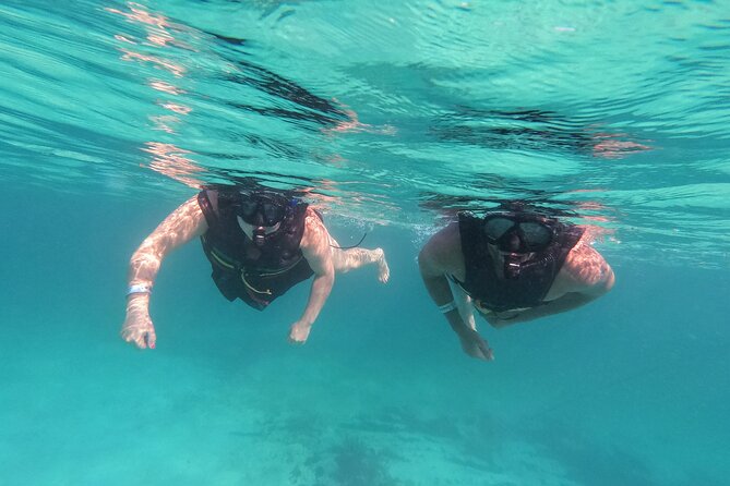 3 in 1 Private Tour Tulum Cenote and Snorkeling in the reef - Cenote Xunaan-Ha: Crystal-Clear Water, Different Vibes