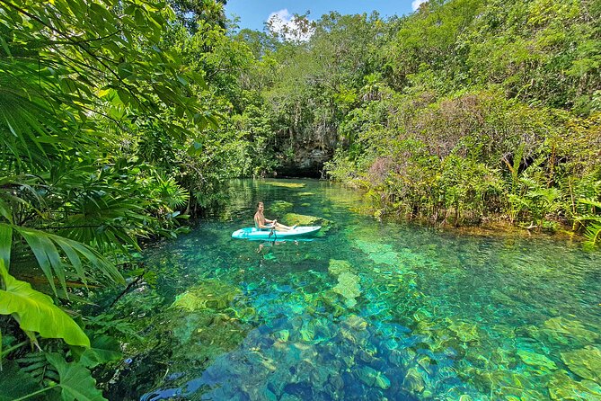 4 Cenotes Eco-Park from Playa del Carmen - Stop at Kantun Chi: Open, Semi-Open, and a Cavern with Light