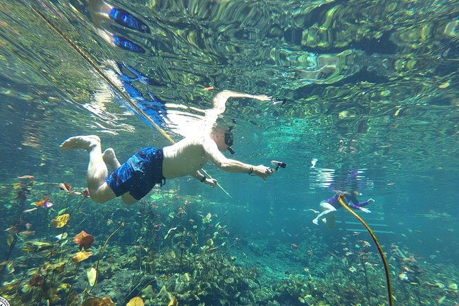 4 Private Cenotes, Zip-Lines, Canoes & Mayan Village with Delicious Lunch - Price and Value: Is $275 Worth It?