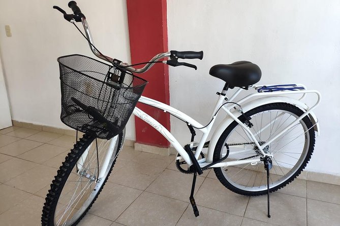 4 to 7 Day Beach Cruiser Rental (Up to 7 Days, includes Ulock) - Entering the rental: pickup time, meeting point, and what to bring