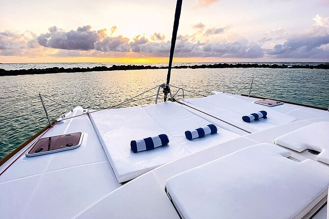 4H Private 38'Catamaran All-Inclusive in Tulum & Playa del Carmen - Wildlife You Might See: Turtles, Manta Rays, and Sting Rays