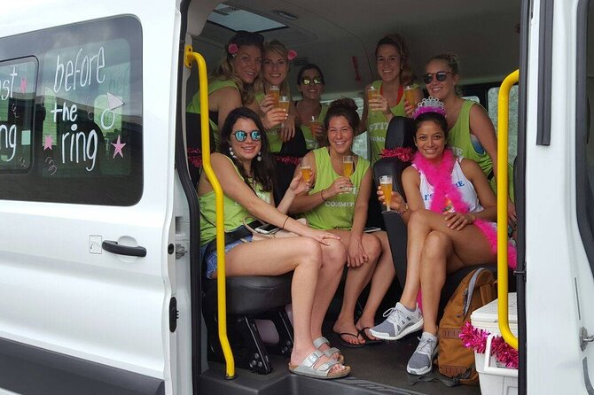 6-Hour Bilingual Private Driver Service in the Riviera Maya - Pickup and Playa del Carmen Route to Tulum or Cancún