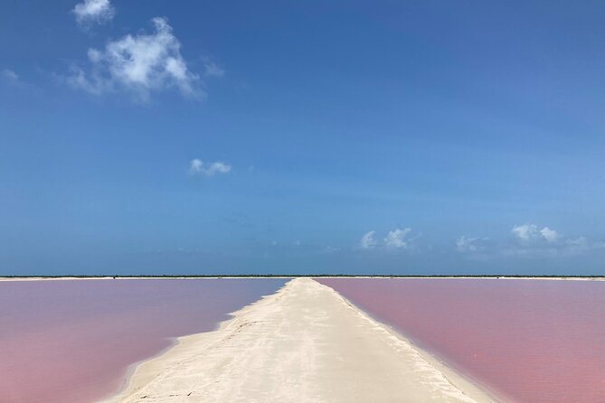 Admission Ticket to Safari in the Pink Lagoons of Las Coloradas - Transportation and guide style: why it makes or breaks the experience