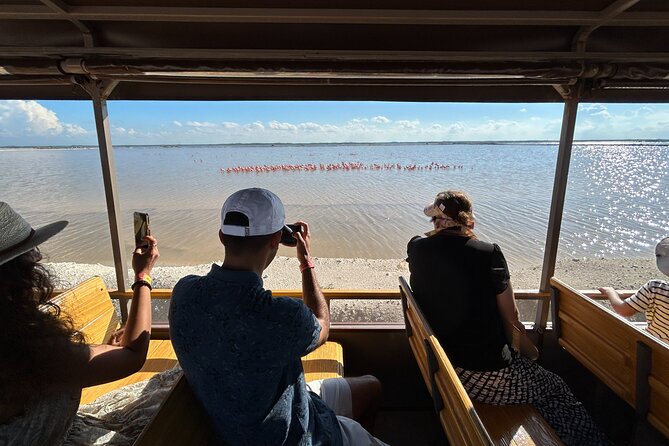 Admission Ticket to Safari in the Pink Lagoons of Las Coloradas - Weather matters more than you think