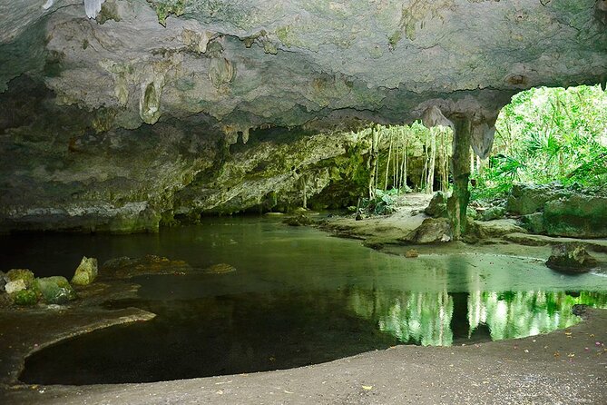 Adventure in ATV, Cenote swimming, snack & transportation - Pickup, Shared Minivan, and Group Size: How Logistics Affect Your Mood