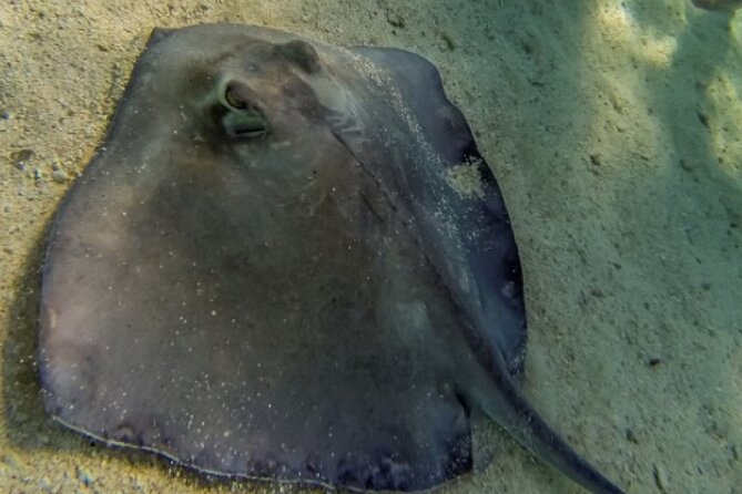 Akumal Bay snorkeling, plus 3 cenotes and great food - What to expect at each cenote stop