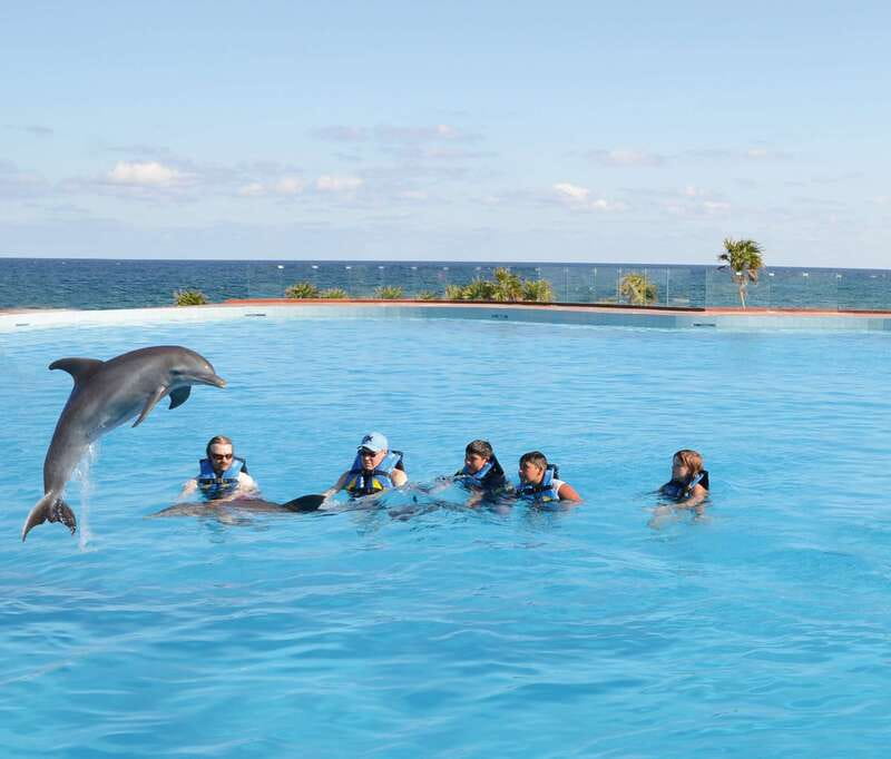 Akumal: Dolphin Encounter - Key Points Before You Go