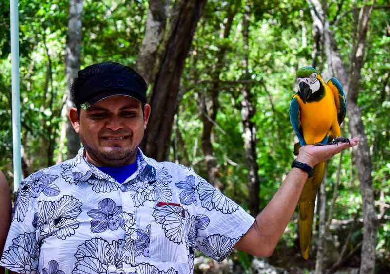 Akumal: Explore the Monkey Sanctuary, ATV Circuit and Cenote - Key Things to Know Before You Go