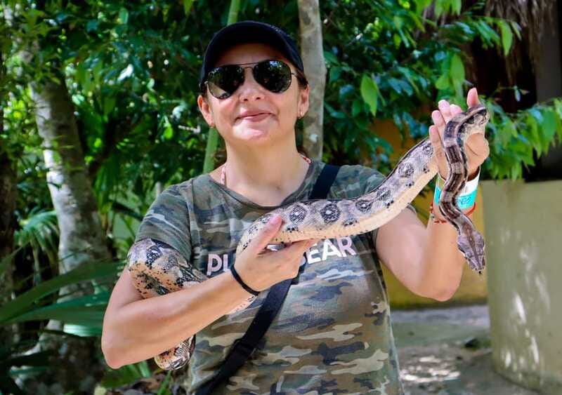 Akumal: Explore the Monkey Sanctuary, ATV Circuit and Cenote - Entering The Akumal Monkey Sanctuary: Rescue Stories and Real Protection