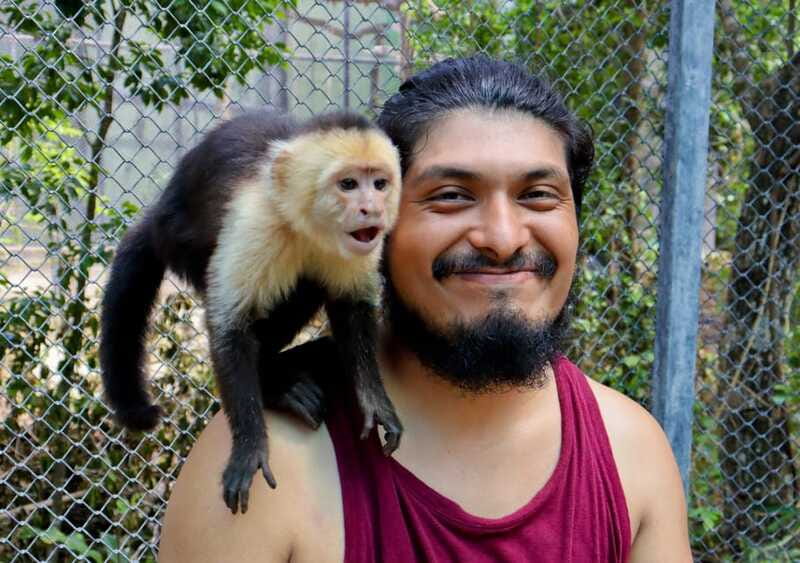 Akumal: Explore the Monkey Sanctuary, ATV Circuit and Cenote - Animal Encounters: Macaws, Non-Venomous Snakes, and Primate Time