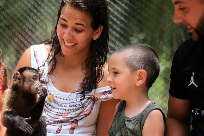 Akumal Monkey Sanctuary - The monkey bonding moment: the highlight (and the rules)