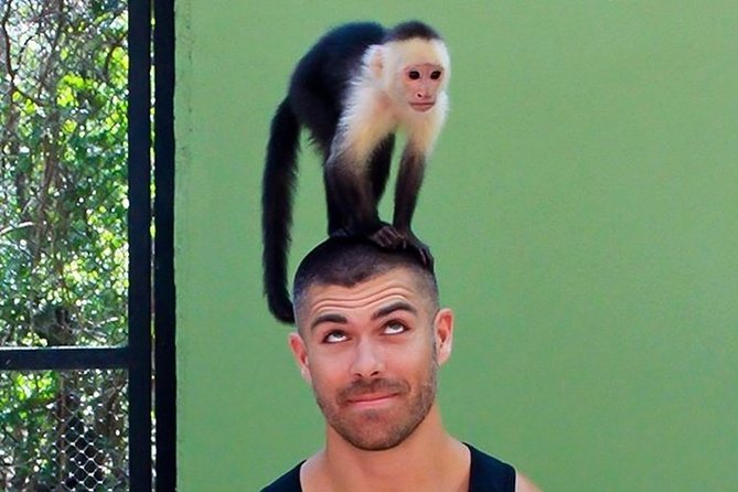 Akumal Monkey Sanctuary - Price and logistics: is $95 good value?