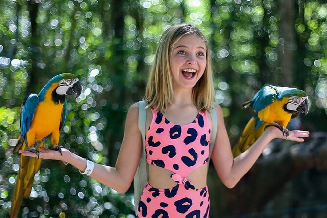 Akumal Monkey Sanctuary - The core experience: animal stories and a rehab mission