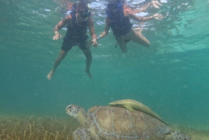 Akumal : Snorkeling with Green Turtles + Photos with GoPro - Timing, Weather, and the Reality of Visibility