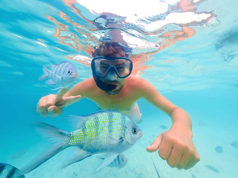 Akumal: Swim with Turtles in a Natural Paradise - Akumal Bay Turtle Snorkeling: What Makes This Area Special