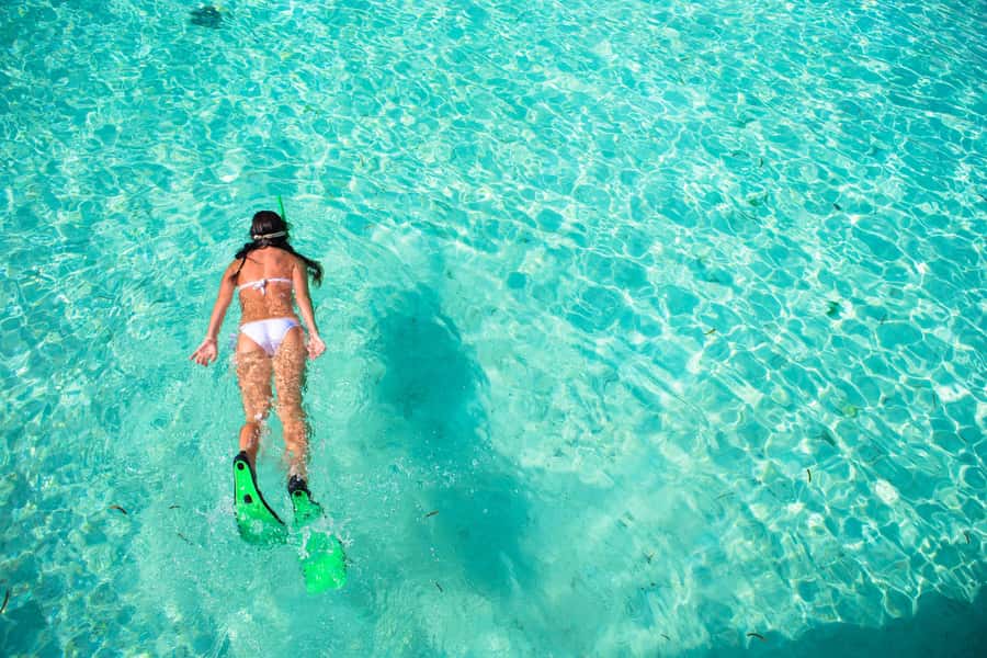 Akumal: Swim with Turtles in a Natural Paradise - Turtle Etiquette That Keeps the Experience Safe (and Better for You)
